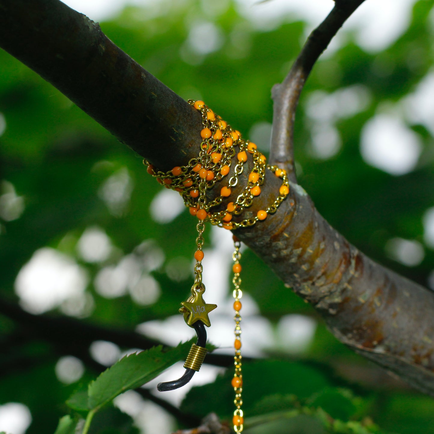 apricot